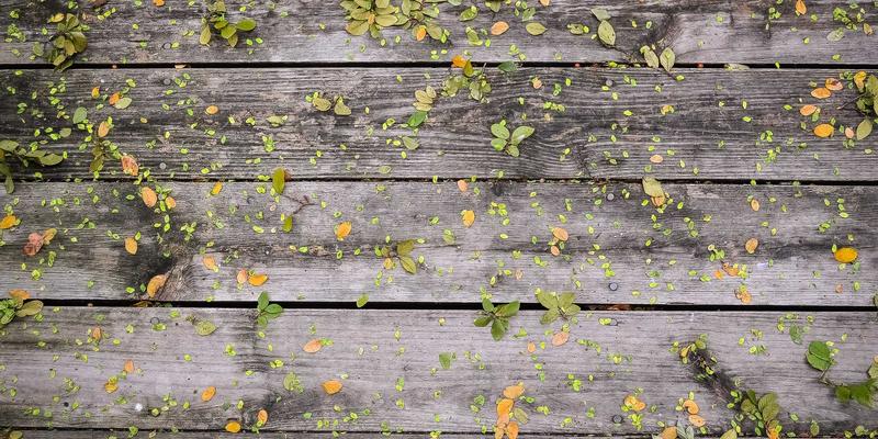 POS系统31：餐饮行业智能化转型的核心商业设备