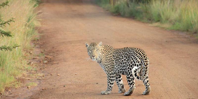 POS系统58：赋能零售业的智能商业解决方案