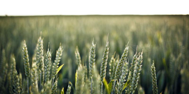 POS系统怎么用？从收银机操作到商业设备整合，原木风设计如何提升消费体验