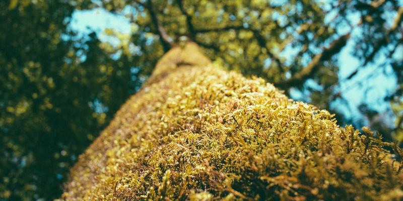 原木风设计下的智慧门店：扫码支付系统如何赋能连锁品牌跨区域统一管理
