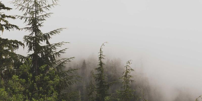 原木风设计如何赋能餐饮POS系统？打造高效与美学兼具的智慧餐厅