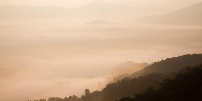 扫码支付与智能收银机：餐饮POS系统如何助力小型零售店提升30%运营效率