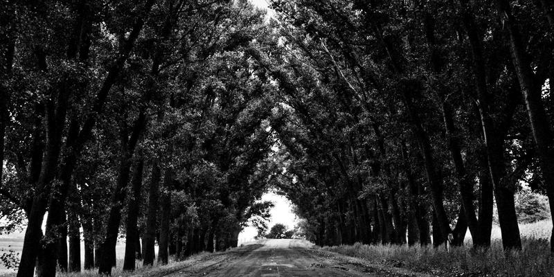 扫码支付与餐饮POS系统：如何通过实时库存管理，在原木风设计的餐厅里减少食材浪费