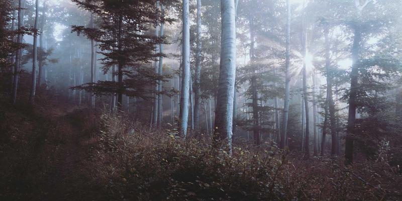 支付系统数据解码：餐饮POS如何通过顾客购买路径分析，重塑门店动线与陈列