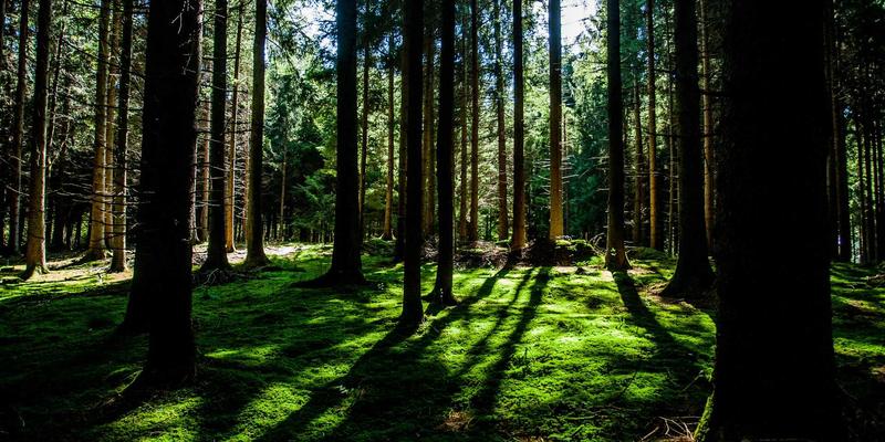 智能POS系统如何重塑生鲜超市：损耗控制与批次管理的实战解决方案